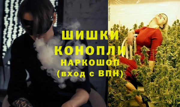 гашик Баксан